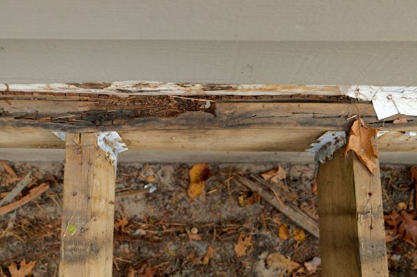 Yakima Wood Rot Repair