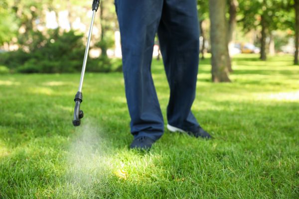 Yakima Lawn Treatment
